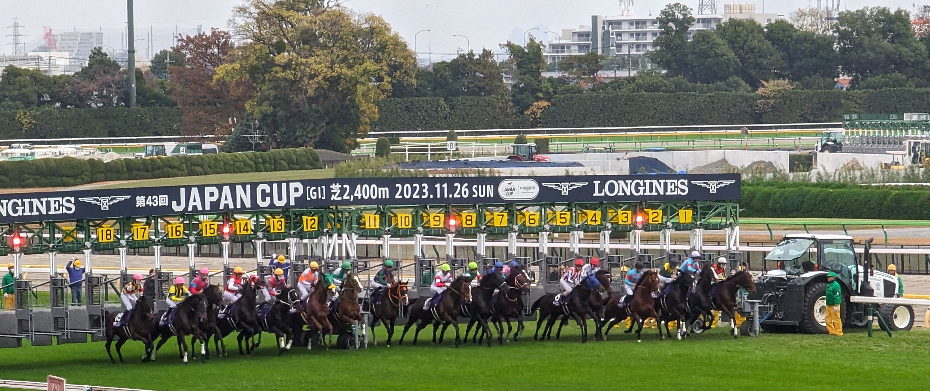 第 42 回 ホープフルステークス 予想